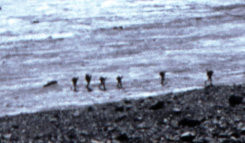 157a.JPG