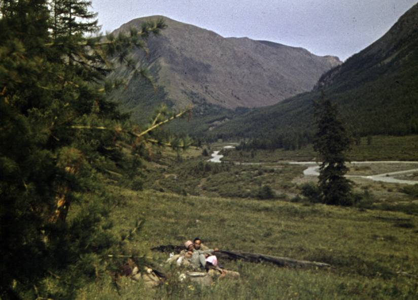 245b.JPG