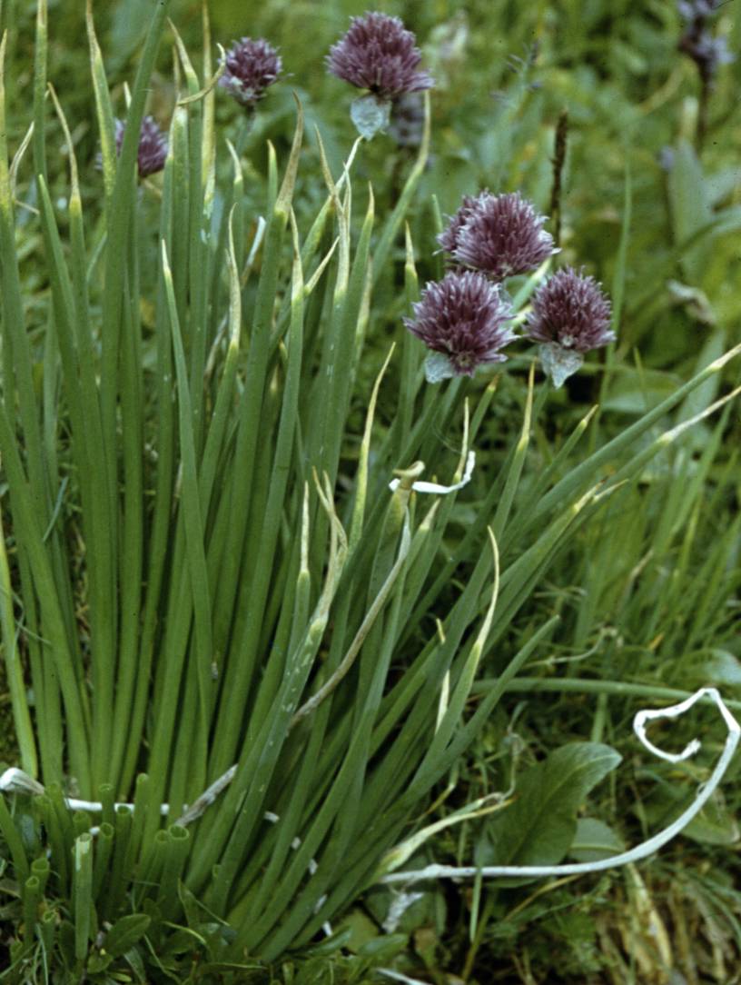 251.JPG