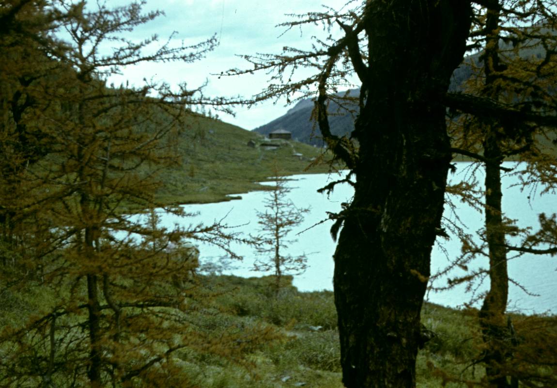 354.JPG