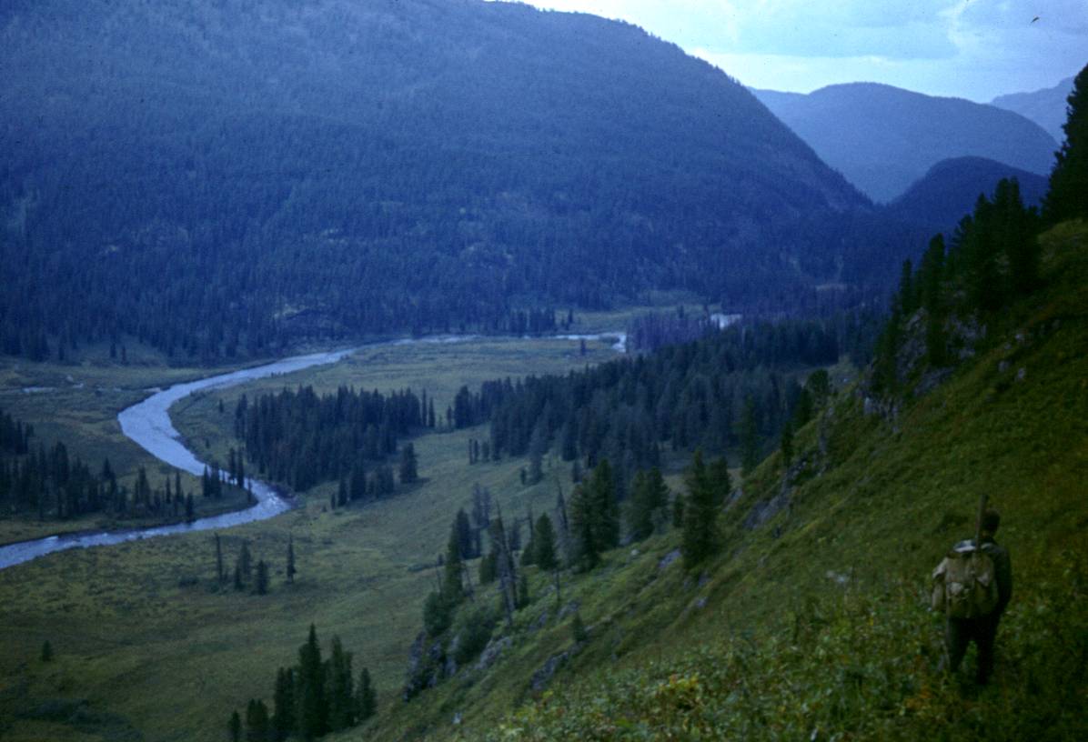 385.JPG