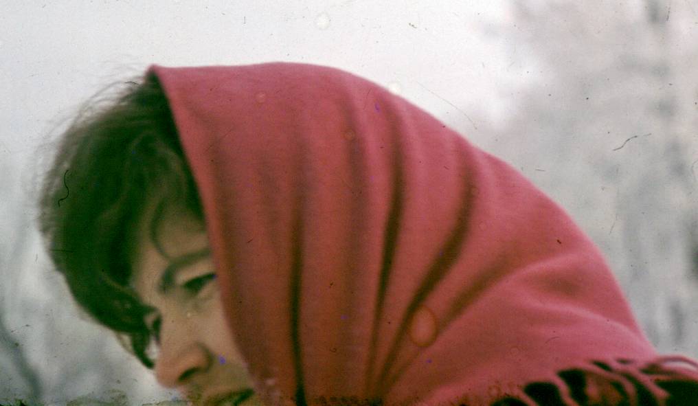 021.JPG
