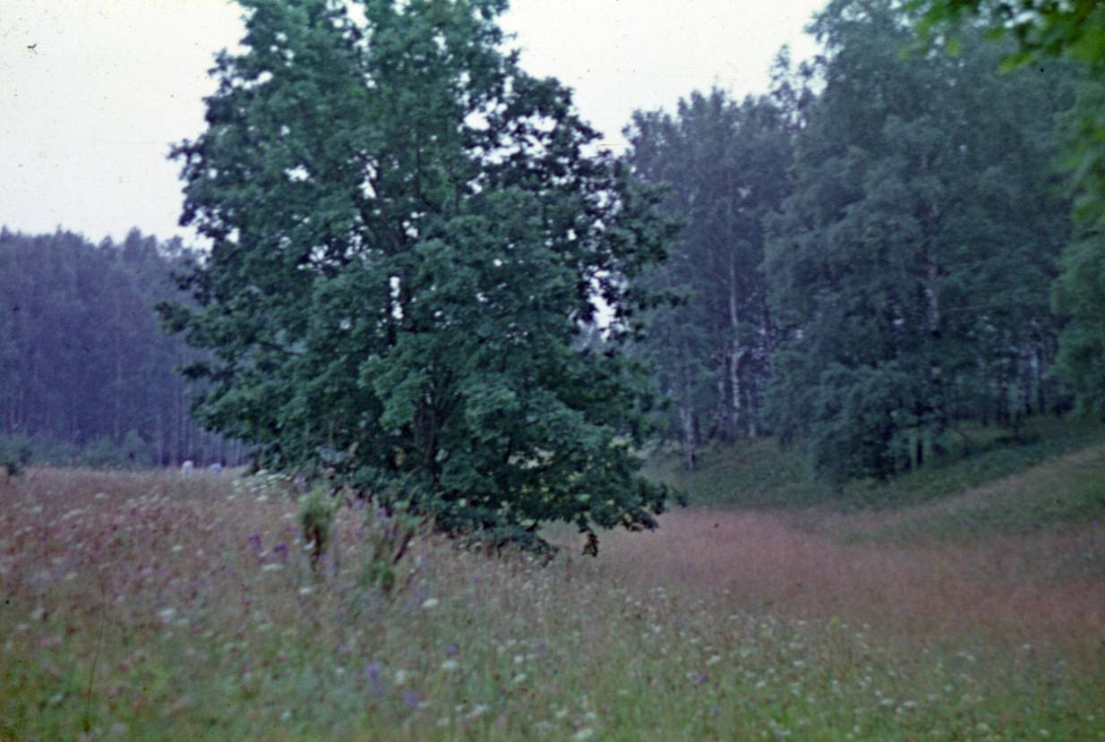 097.JPG