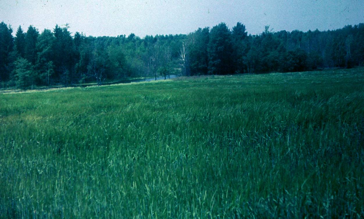 115.JPG
