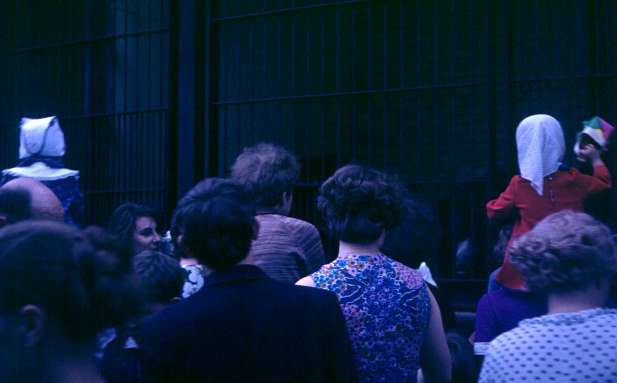 196.JPG