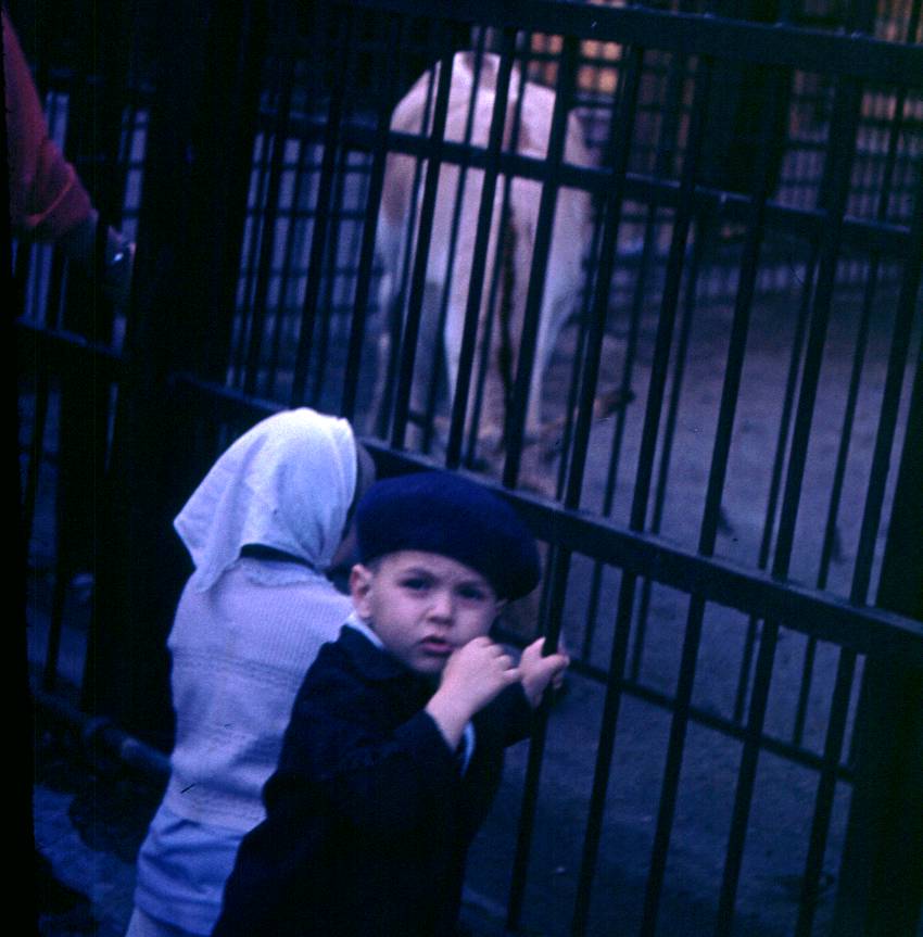 198.JPG