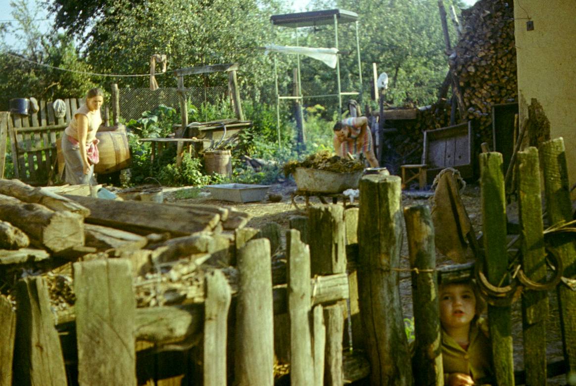 237.JPG