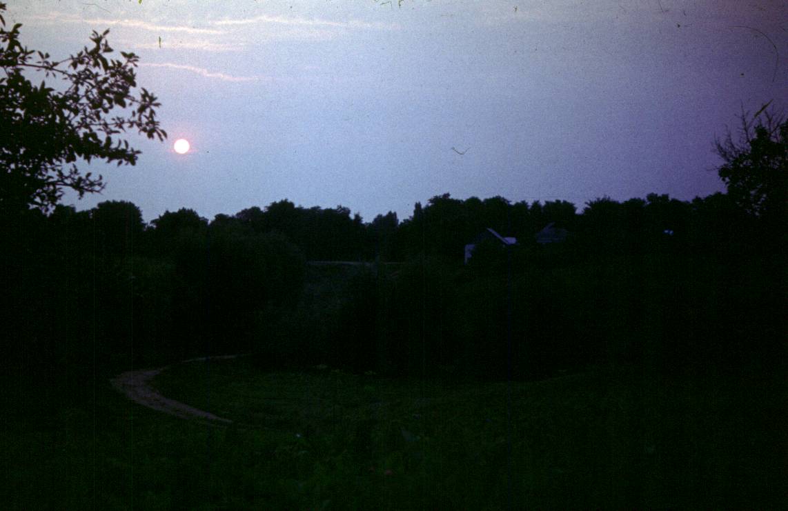 262.JPG