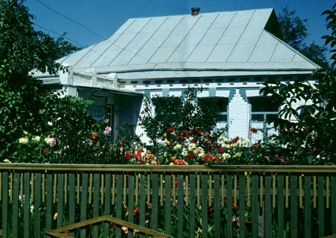 271.JPG
