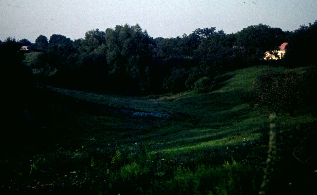 272.JPG