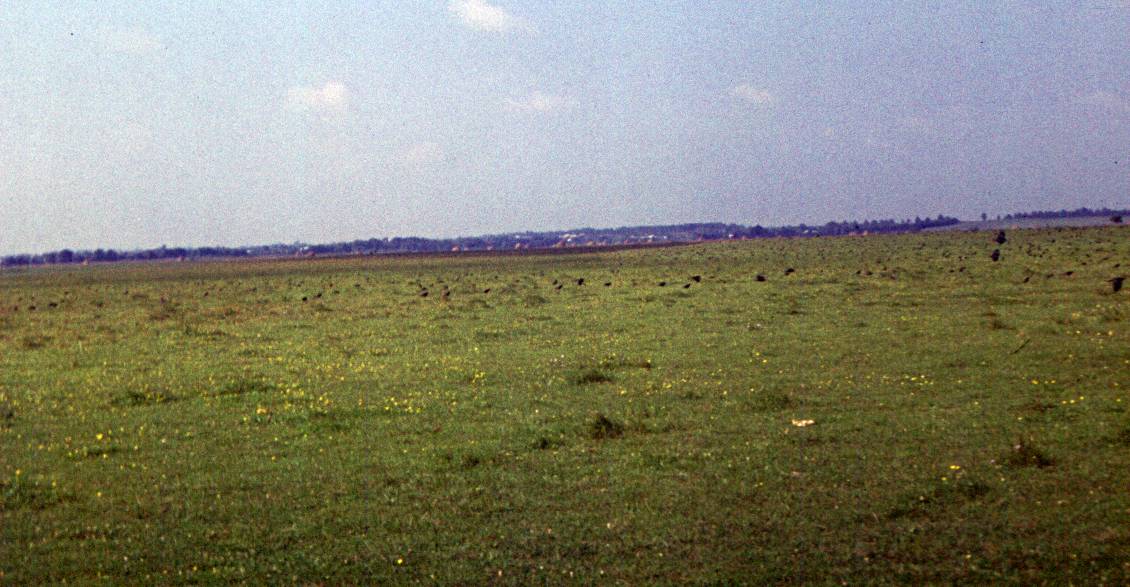 289.JPG