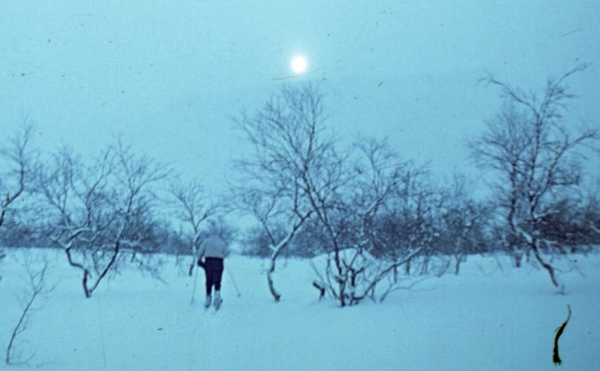 042.JPG
