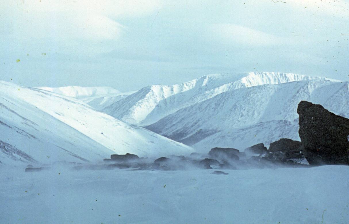 044.JPG