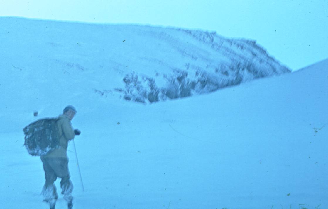 051.JPG