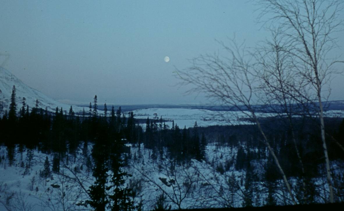 071.JPG
