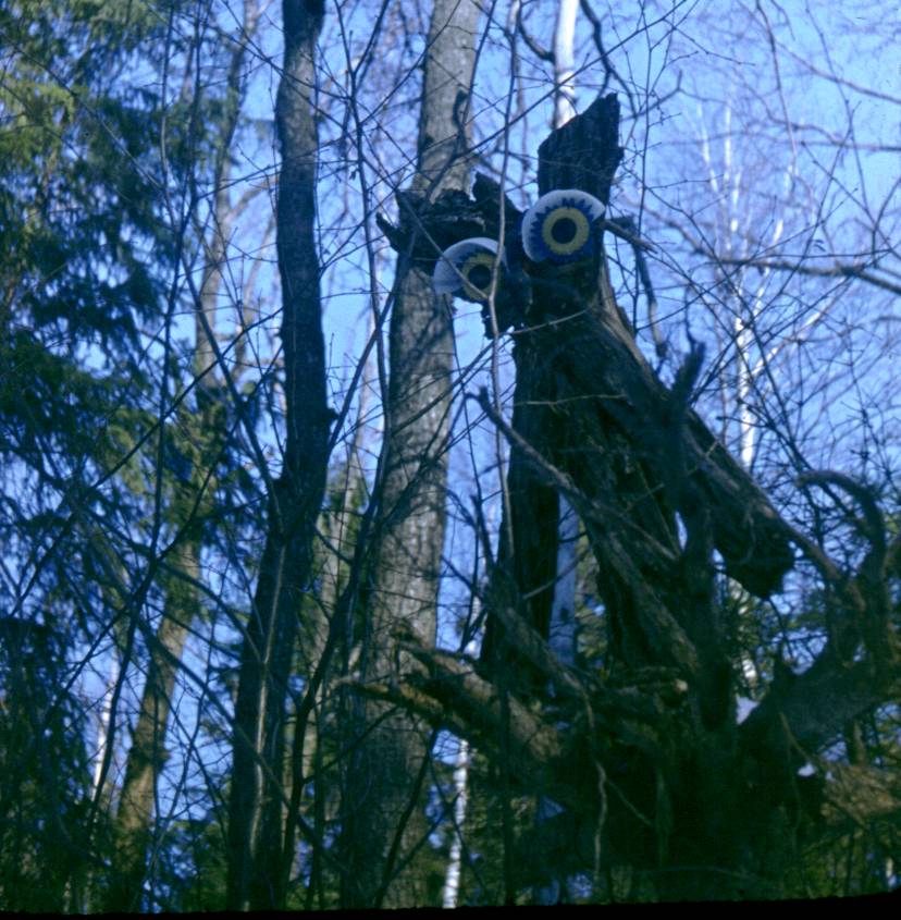 114.JPG