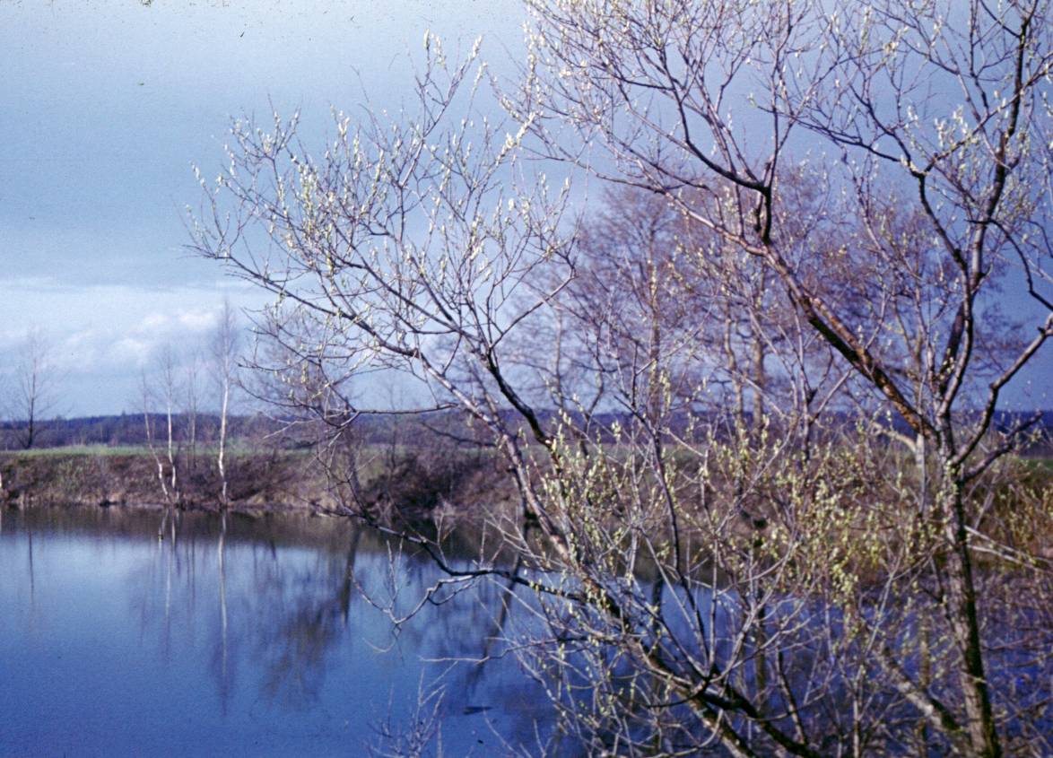 134.JPG