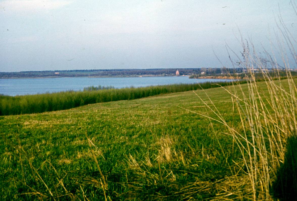 135.JPG