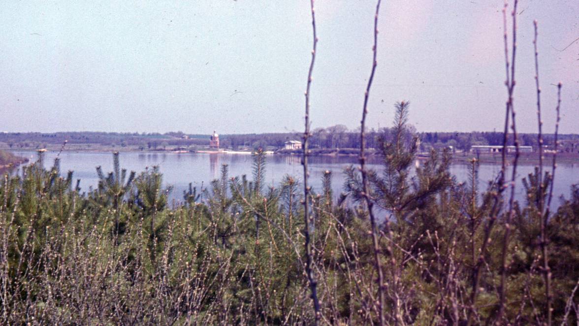 136.JPG