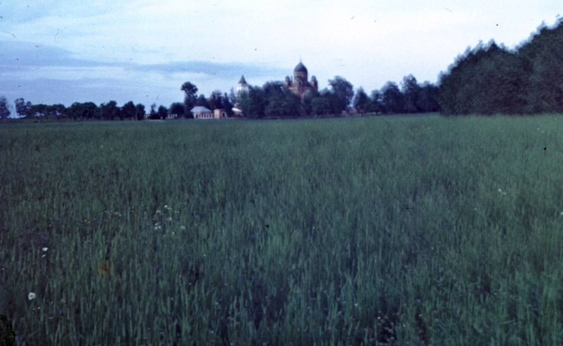 164.JPG