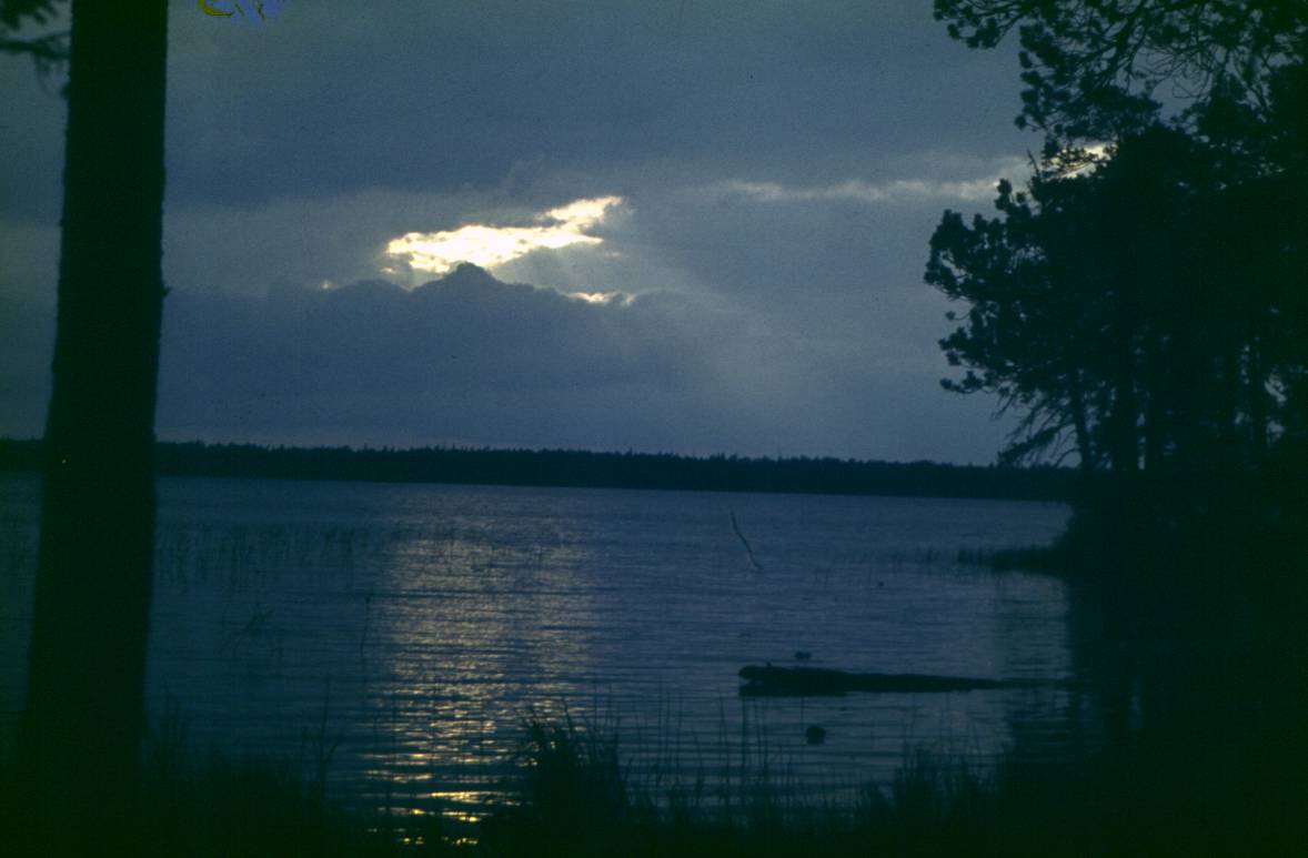 062.JPG