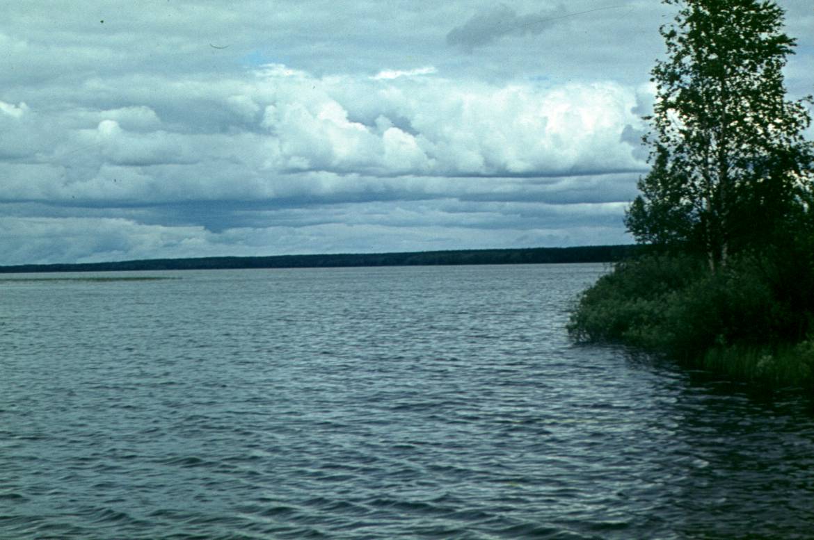 081.JPG