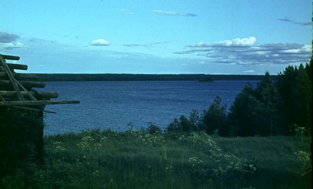 082.JPG