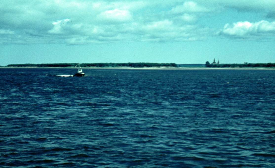 119.JPG