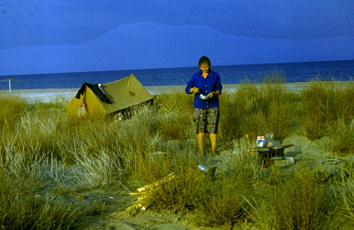 032.JPG