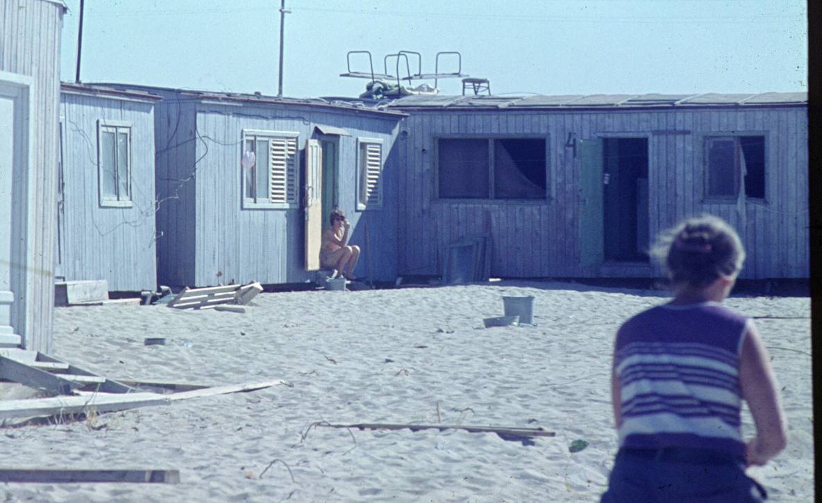 036.JPG