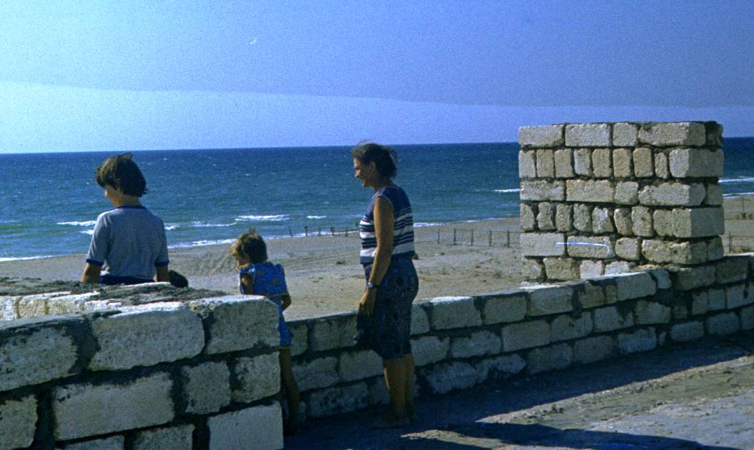 038.JPG
