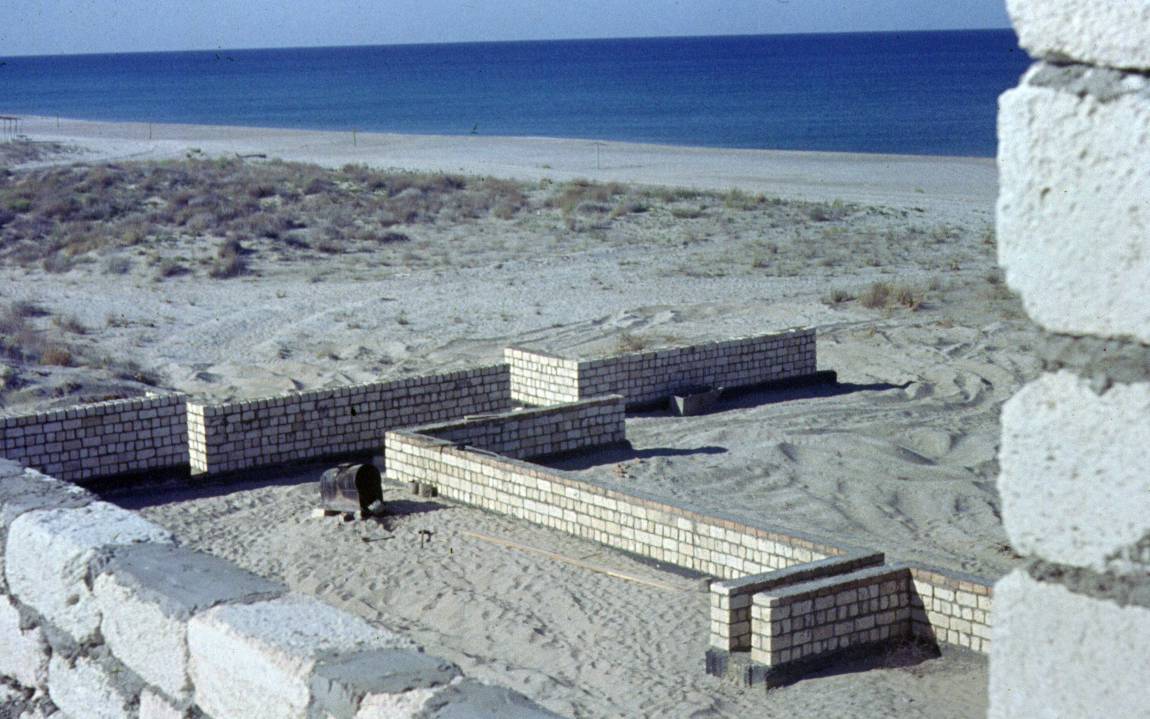 042.JPG