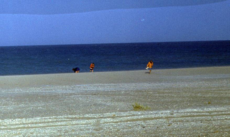 043.JPG
