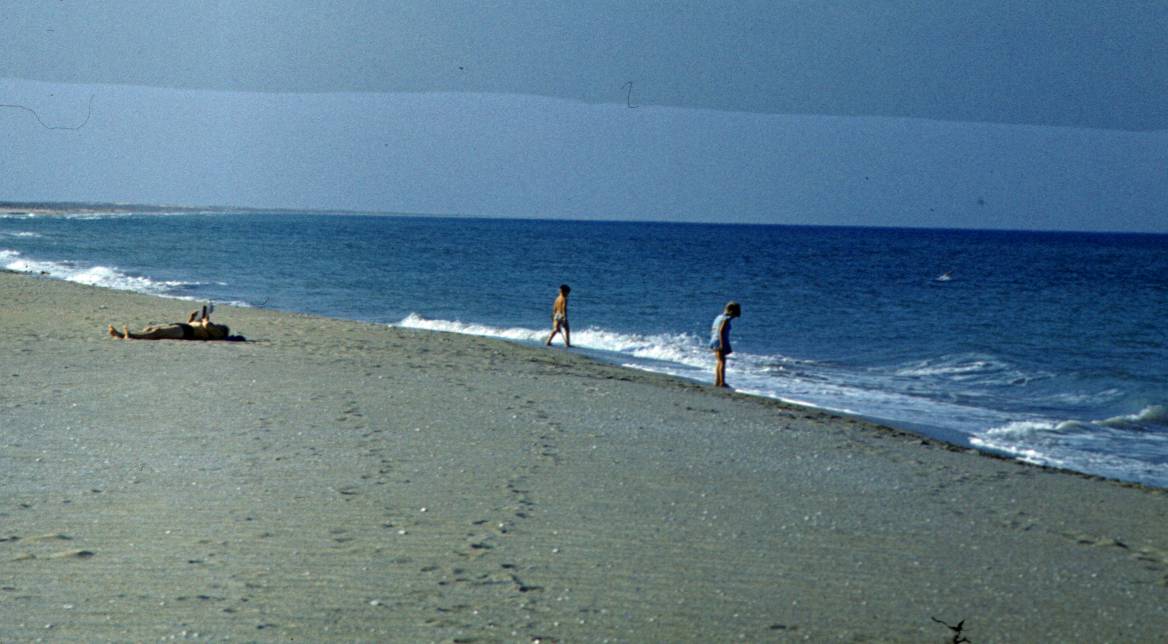110.JPG