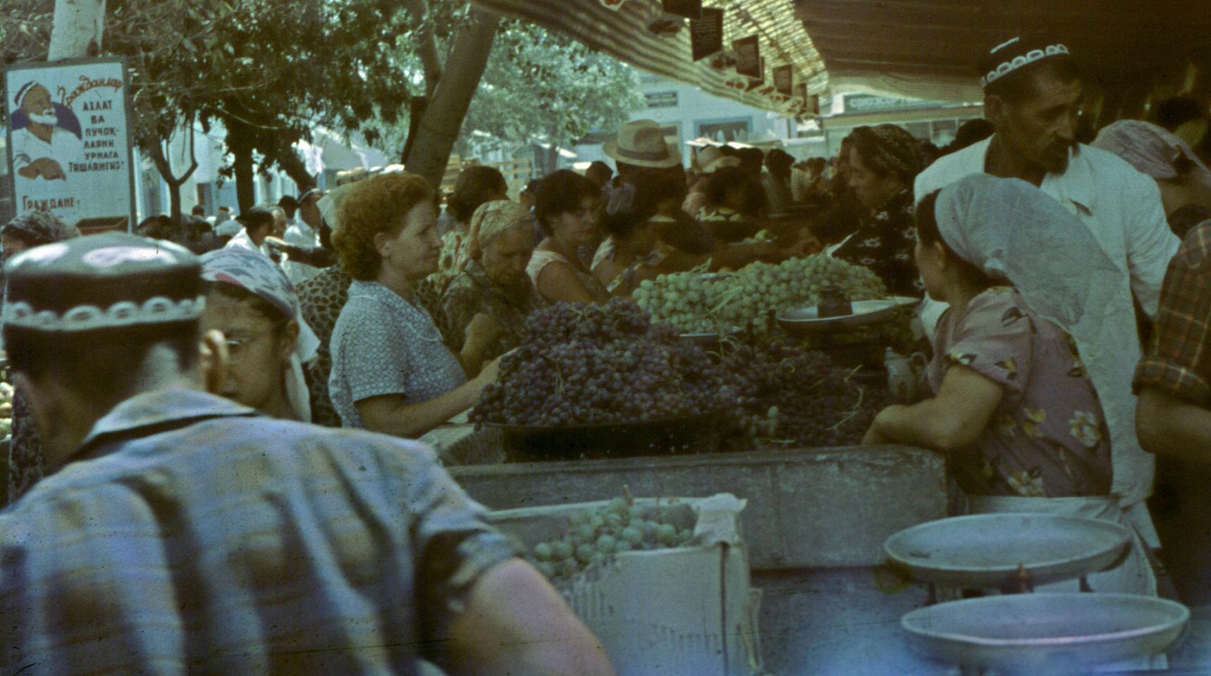 005.JPG