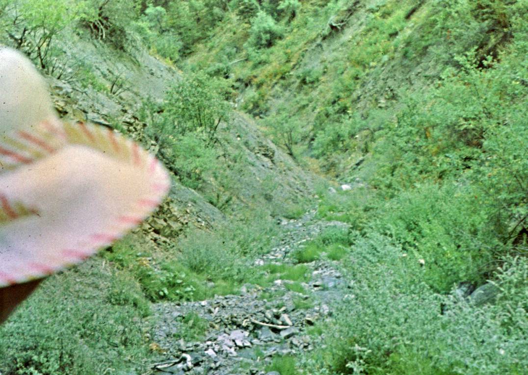 022.JPG