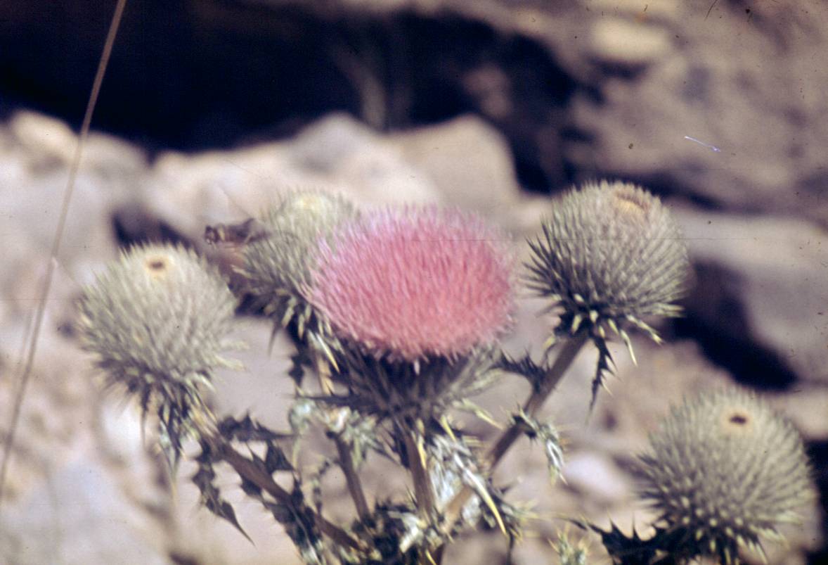 105.JPG