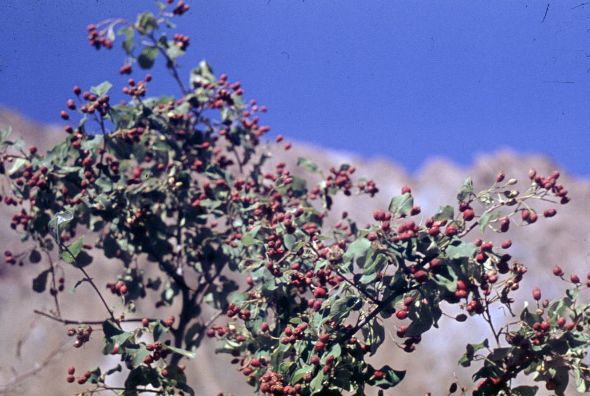 119.JPG
