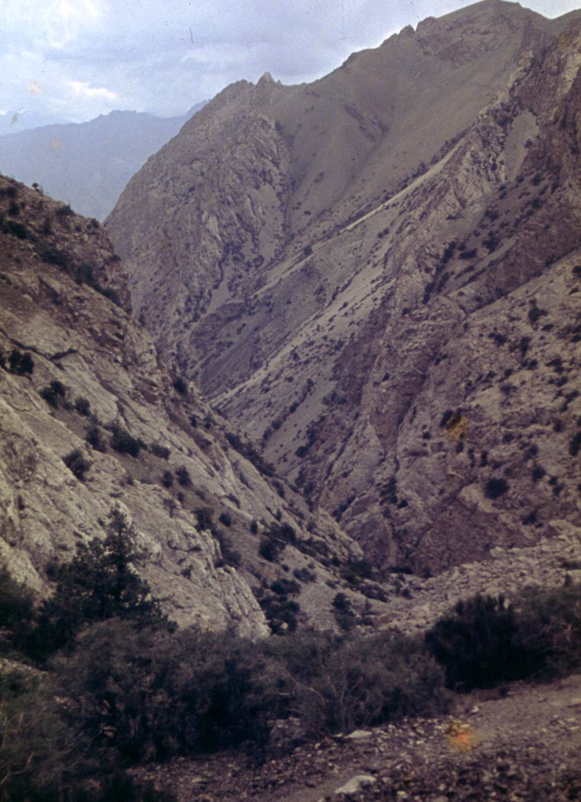 146.JPG