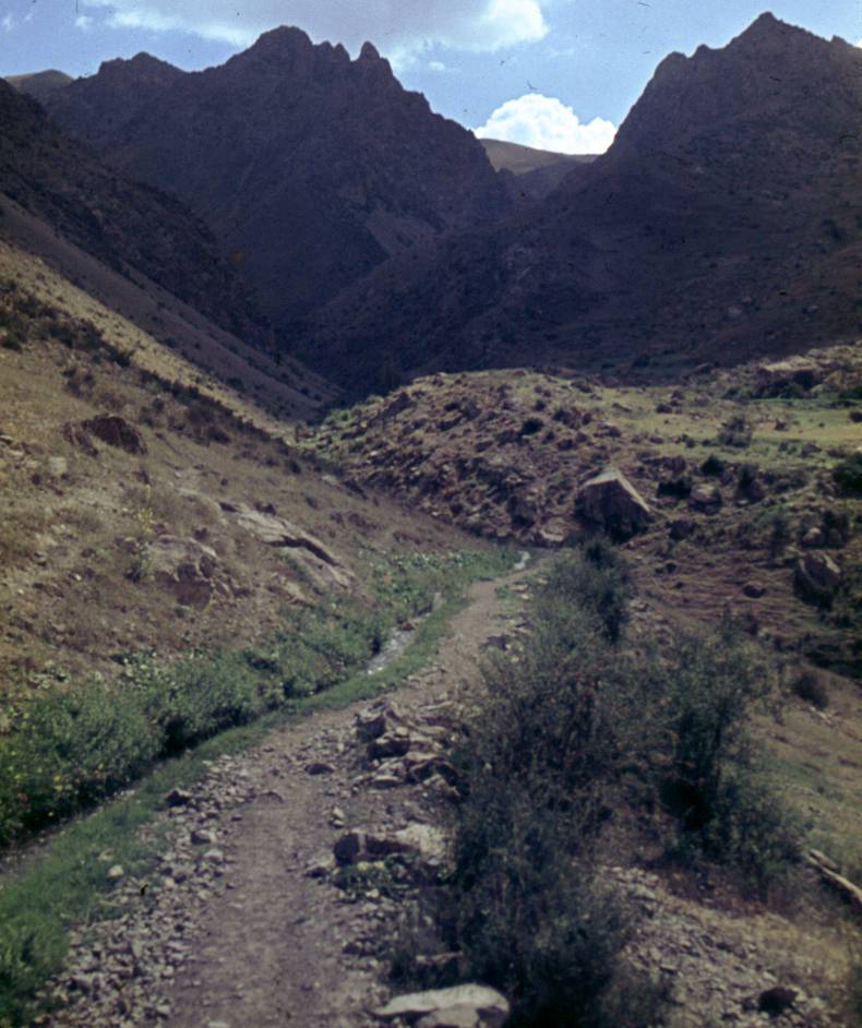 148.JPG