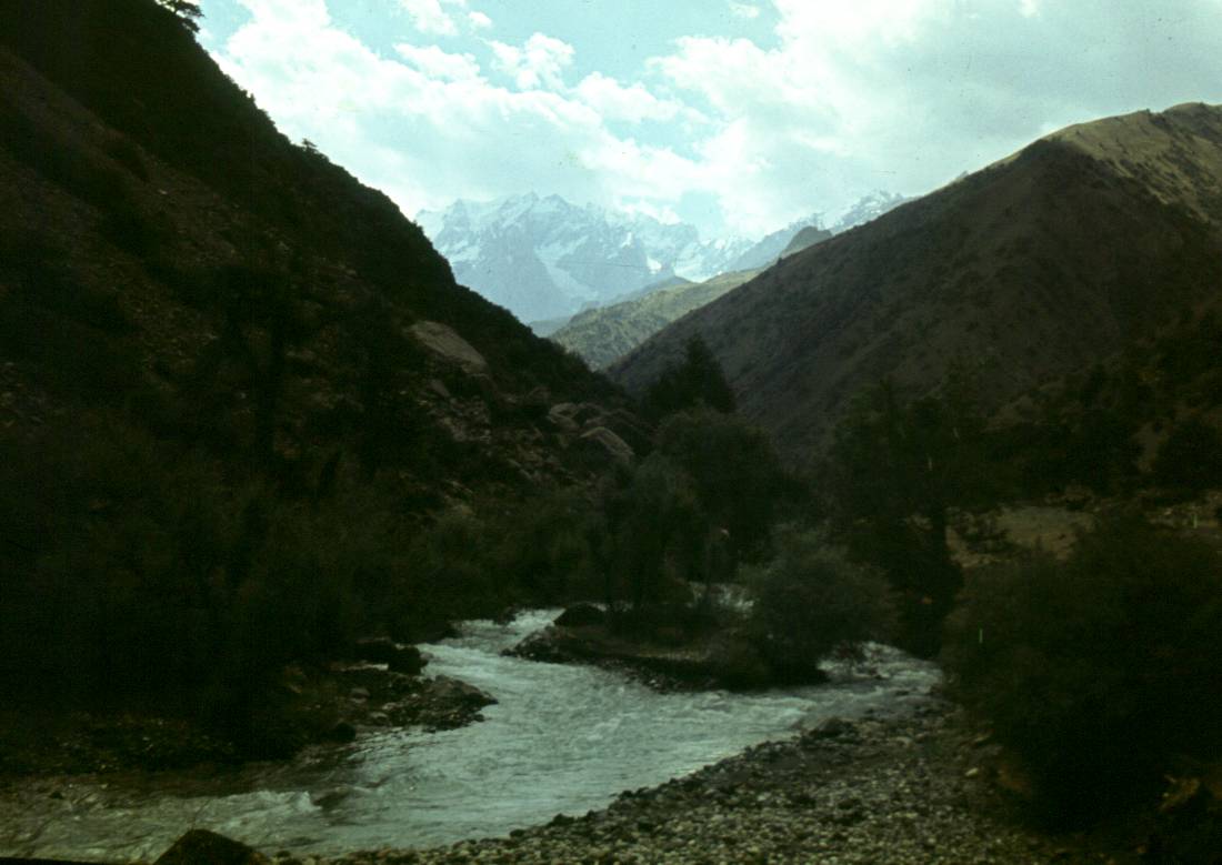 155.JPG