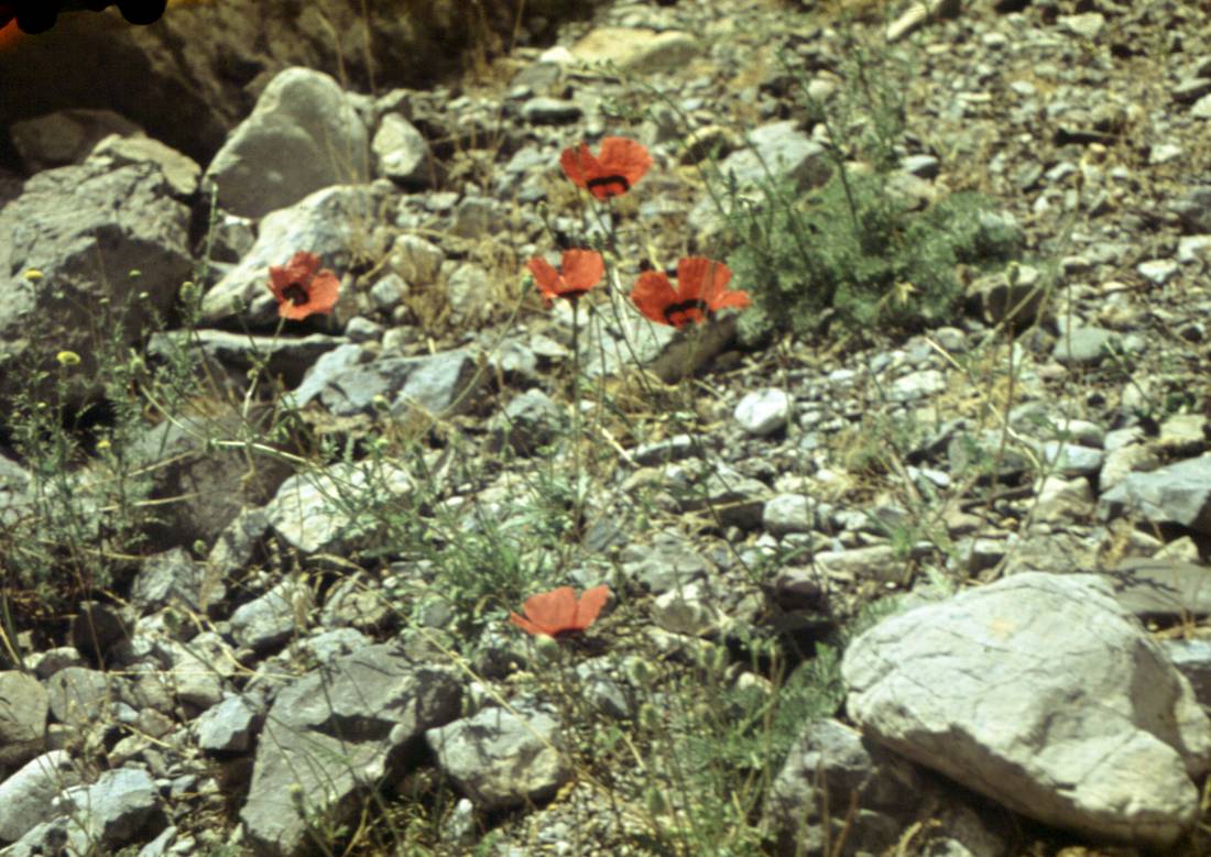 158.JPG