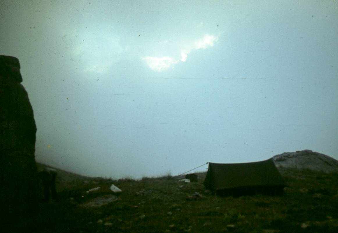 164.JPG