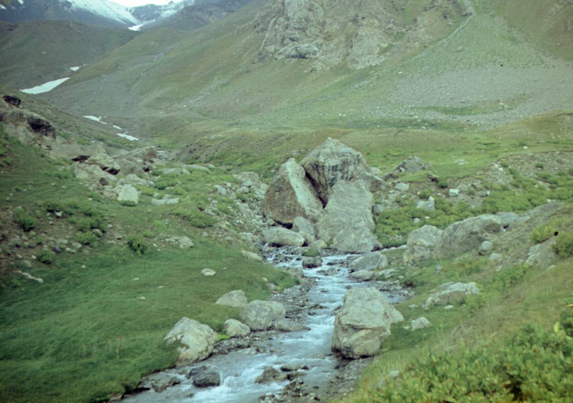 172.JPG