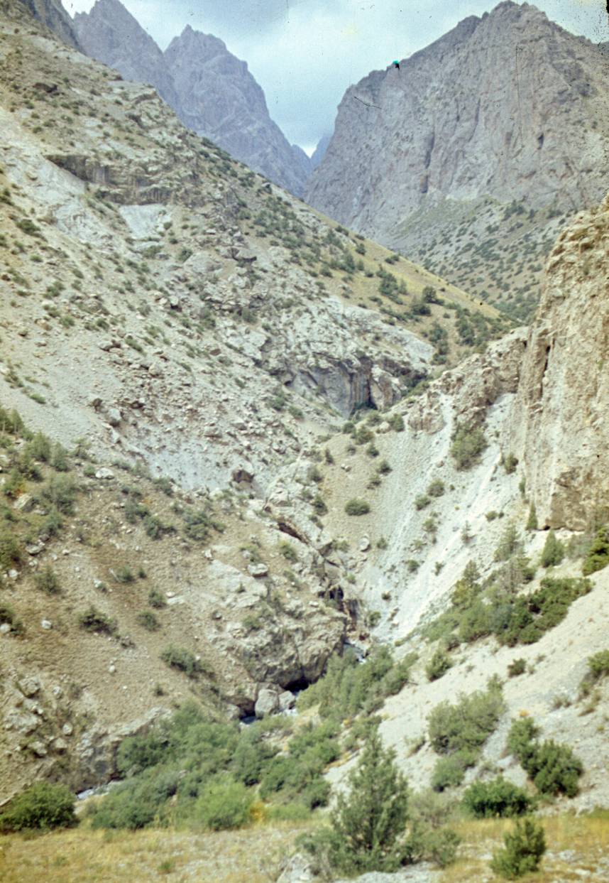 178.JPG
