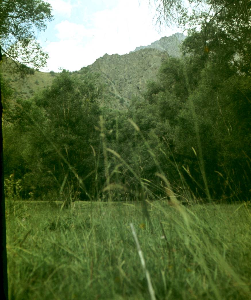 186.JPG