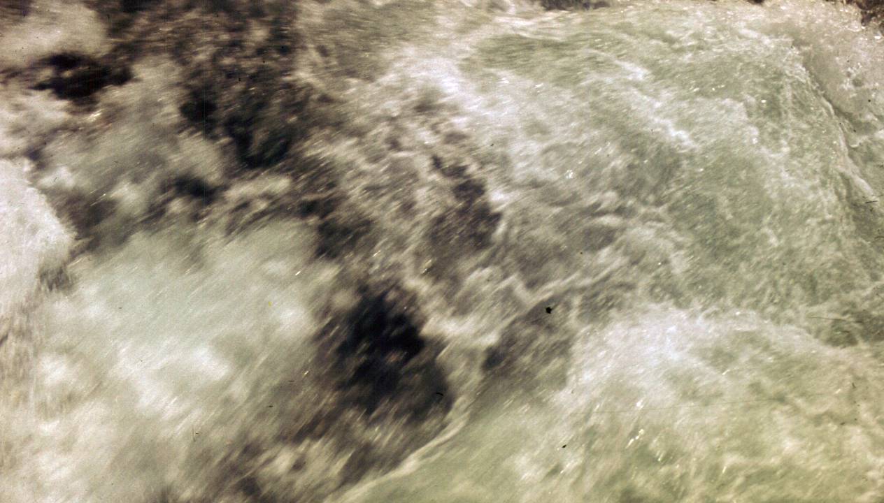 204.JPG