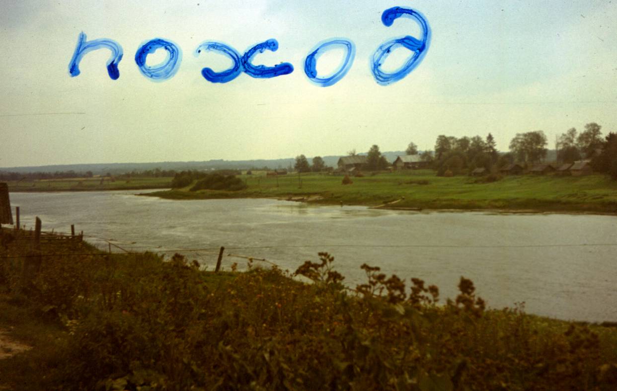003.JPG