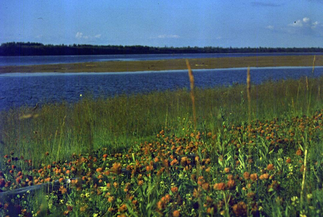030.JPG