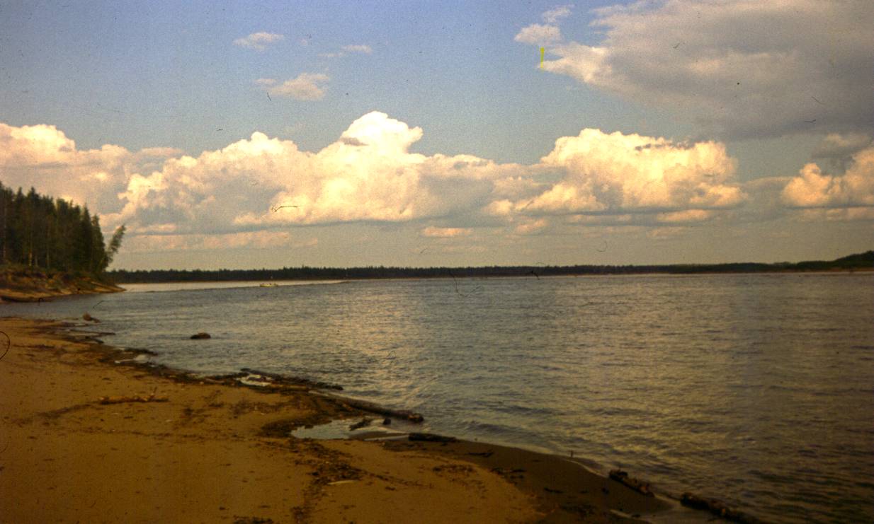 040.JPG